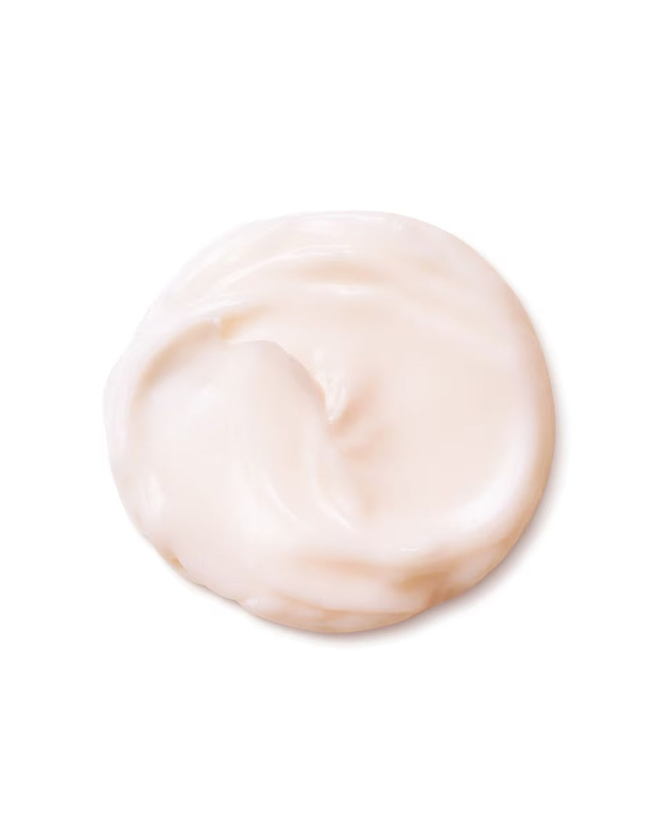 Anti-Ageing Cream Bio-Performance Shiseido